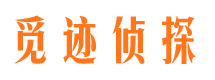 长洲市婚外情调查